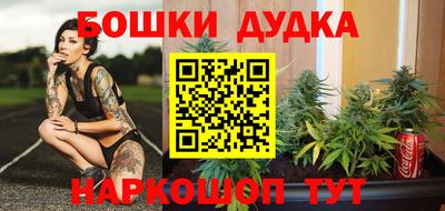 крисы Гай