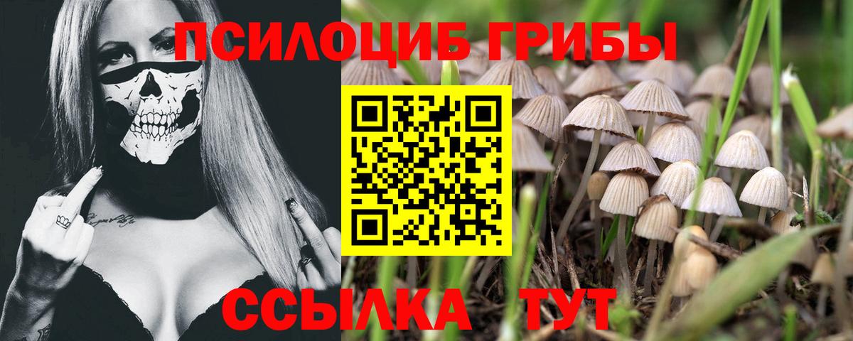 закладки  Галлюциногенные грибы MAGIC MUSHROOMS  Вход с VPN  Ликино-Дулёво 